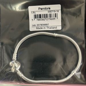 Pandora bracelet and charms